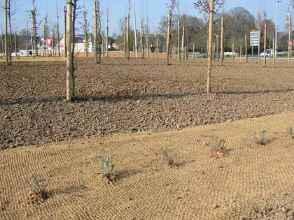 Plantations