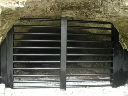 Fermeture cavités chauve souris