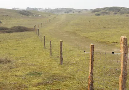 Clôture herbagère en piquets de bois sur site naturel